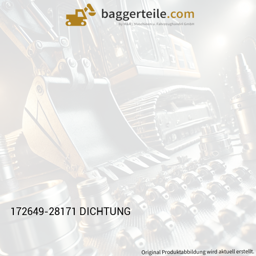 172649-28171 DICHTUNG