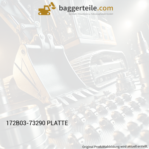 172B03-73290 PLATTE