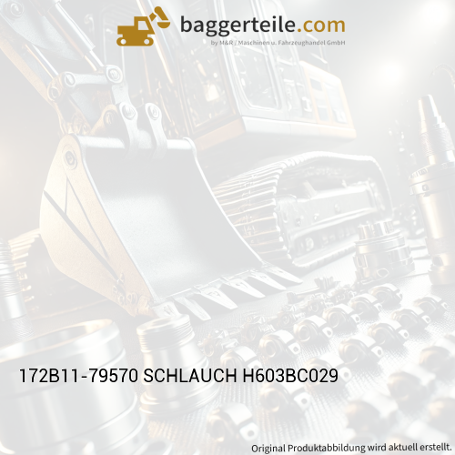 172B11-79570 SCHLAUCH H603BC029