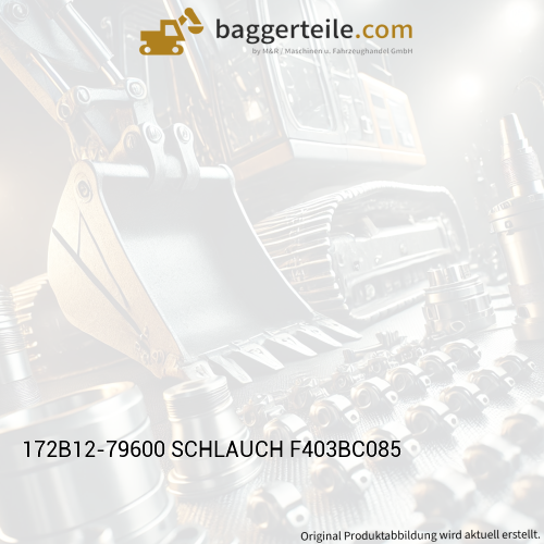 172B12-79600 SCHLAUCH F403BC085