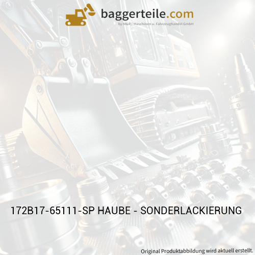 172B17-65111-SP HAUBE - SONDERLACKIERUNG