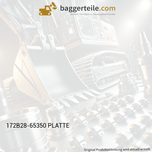 172B28-65350 PLATTE