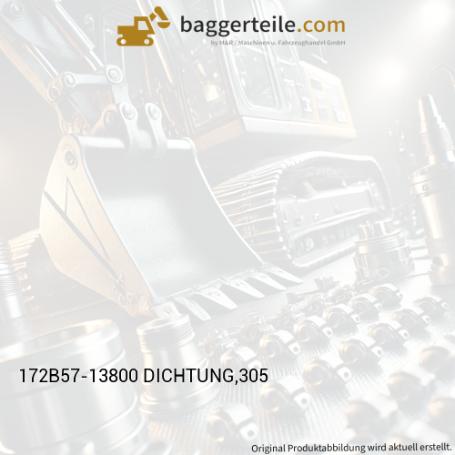 172B57-13800 DICHTUNG,305