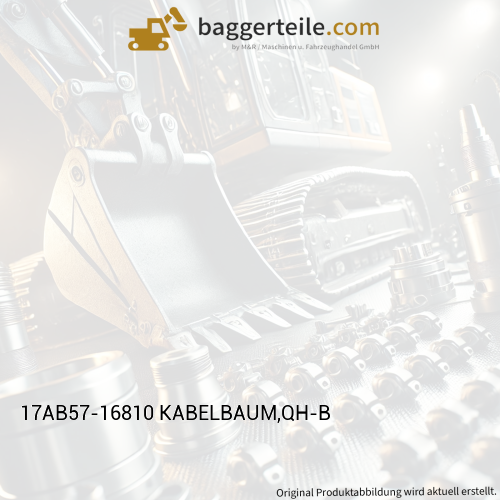 17AB57-16810 KABELBAUM,QH-B
