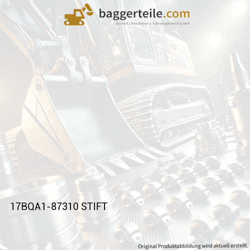 17BQA1-87310 STIFT
