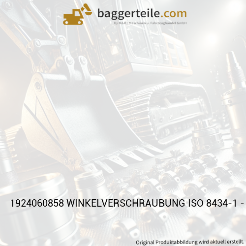 1924060858 WINKELVERSCHRAUBUNG ISO 8434-1 - SWOELN - L12XG1/2