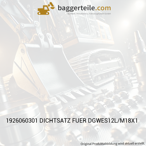 1926060301 DICHTSATZ FUER DGWES12L/M18X1