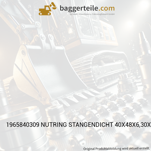 1965840309 NUTRING STANGENDICHT 40X48X6,30X4,00 T20