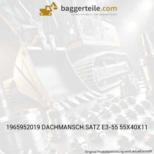 1965952019 DACHMANSCH.SATZ E3-55 55X40X11