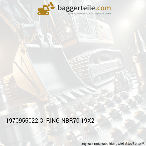 1970956022 O-RING NBR70 19X2
