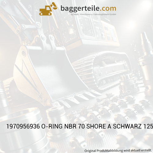 1970956936 O-RING NBR 70 SHORE A SCHWARZ 125X3-BL-BN 170