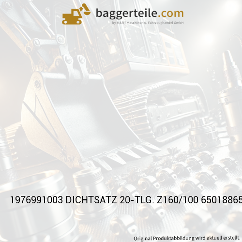 1976991003 DICHTSATZ 20-TLG. Z160/100 6501886500