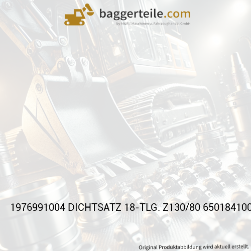 1976991004 DICHTSATZ 18-TLG. Z130/80 6501841000