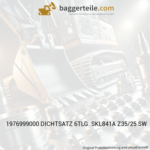 1976999000 DICHTSATZ 6TLG. SKL841A Z35/25 SW