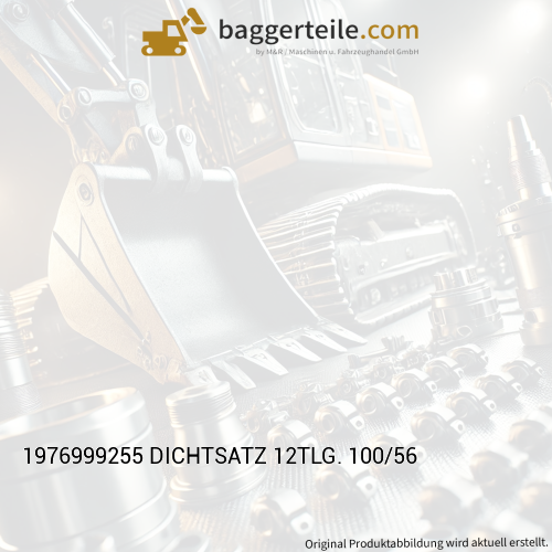 1976999255 DICHTSATZ 12TLG. 100/56