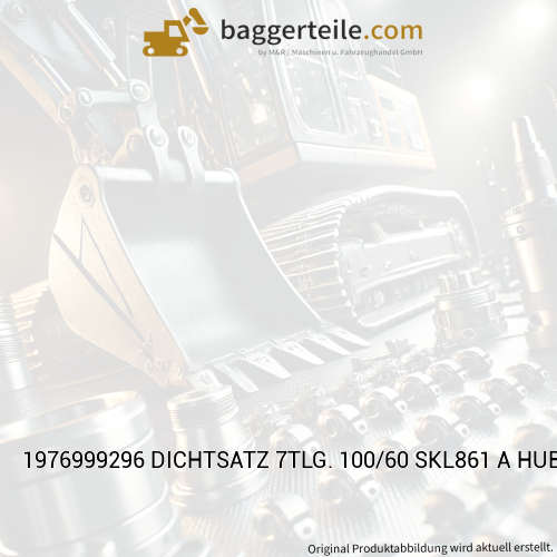 1976999296 DICHTSATZ 7TLG. 100/60 SKL861 A HUBZYLINDER