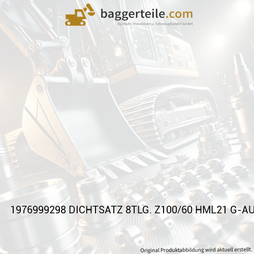 1976999298 DICHTSATZ 8TLG. Z100/60 HML21 G-AUSLEGERZYL.
