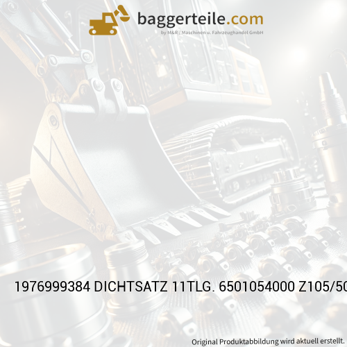 1976999384 DICHTSATZ 11TLG. 6501054000 Z105/50