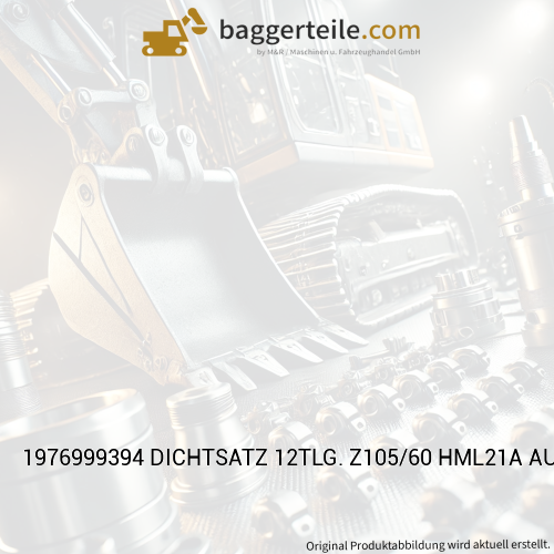 1976999394 DICHTSATZ 12TLG. Z105/60 HML21A AUSLEGERZYL.