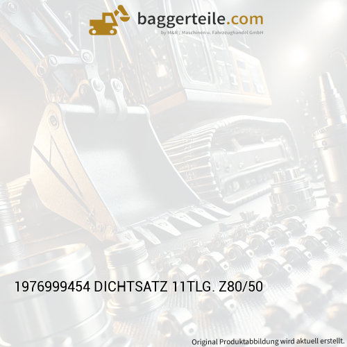 1976999454 DICHTSATZ 11TLG. Z80/50