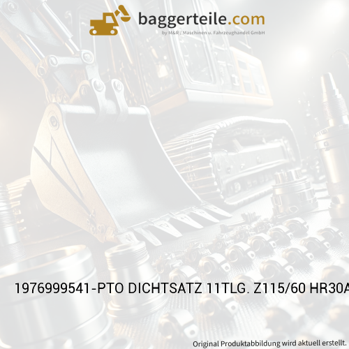 1976999541-PTO DICHTSATZ 11TLG. Z115/60 HR30A AUSLEGERZYL.