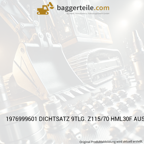 1976999601 DICHTSATZ 9TLG. Z115/70 HML30F AUSL.LOEFFELST.