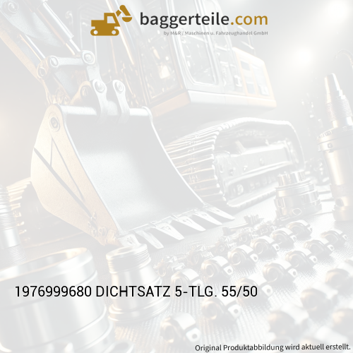 1976999680 DICHTSATZ 5-TLG. 55/50