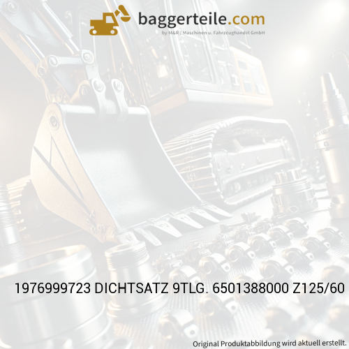 1976999723 DICHTSATZ 9TLG. 6501388000 Z125/60