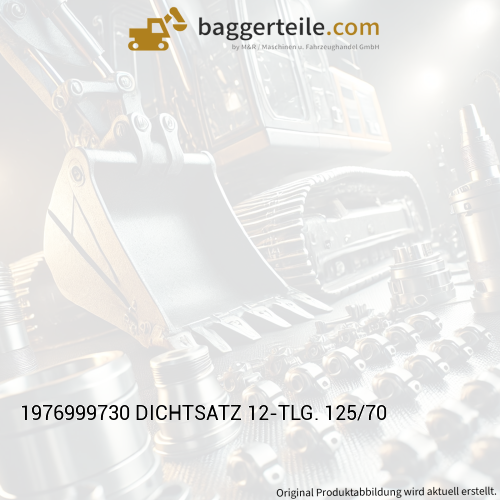1976999730 DICHTSATZ 12-TLG. 125/70