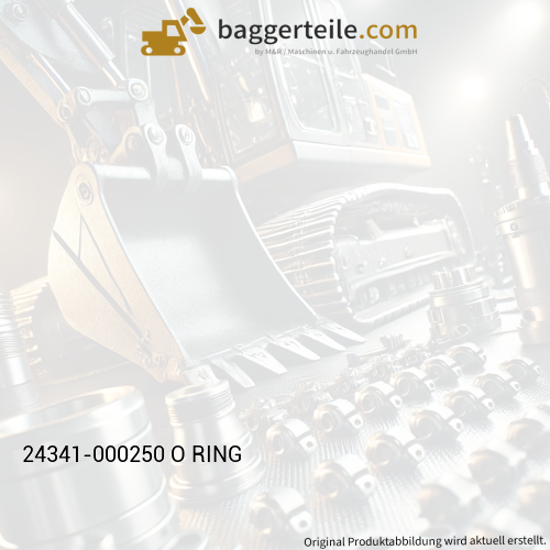 24341-000250 O RING