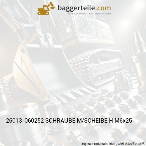 26013-060252 SCHRAUBE M/SCHEIBE H M6x25