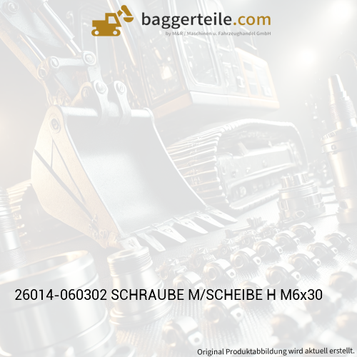 26014-060302 SCHRAUBE M/SCHEIBE H M6x30