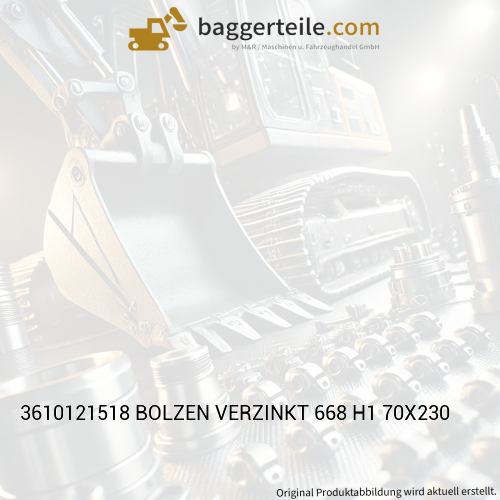 3610121518 BOLZEN VERZINKT 668 H1 70X230