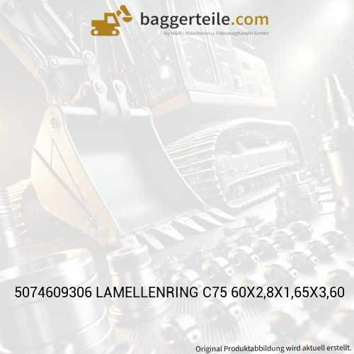 5074609306 LAMELLENRING C75 60X2,8X1,65X3,60