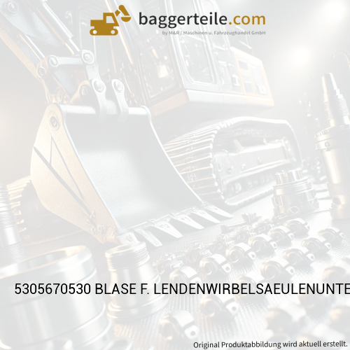 5305670530 BLASE F. LENDENWIRBELSAEULENUNTERSTUETZUNG KPL.