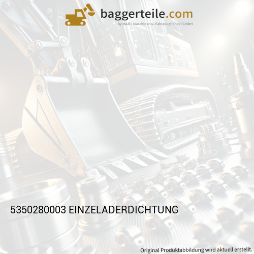 5350280003 EINZELADERDICHTUNG