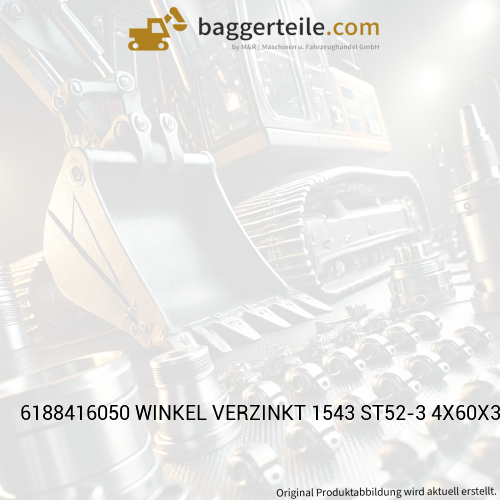 6188416050 WINKEL VERZINKT 1543 ST52-3 4X60X365