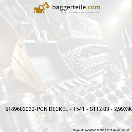 6189602020-PGN DECKEL - 1541 - ST12.03 - 2,99X90X120
