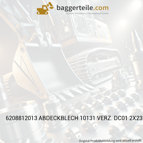 6208812013 ABDECKBLECH 10131 VERZ. DC01 2X232X300