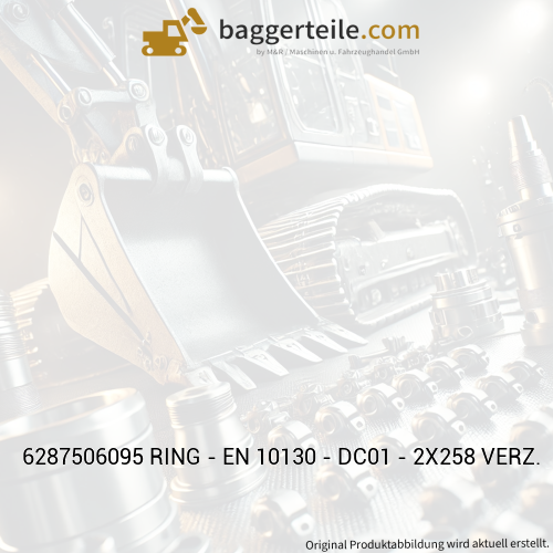 6287506095 RING - EN 10130 - DC01 - 2X258 VERZ.