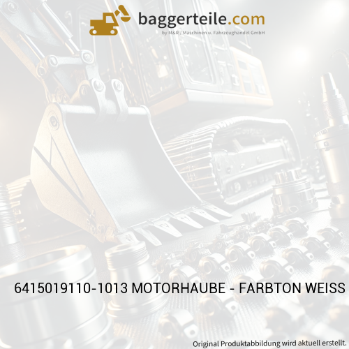 6415019110-1013 MOTORHAUBE - FARBTON WEISS