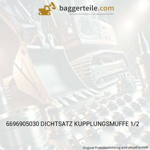 6696905030 DICHTSATZ KUPPLUNGSMUFFE 1/2