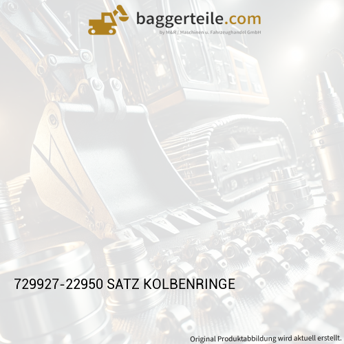729927-22950 SATZ KOLBENRINGE