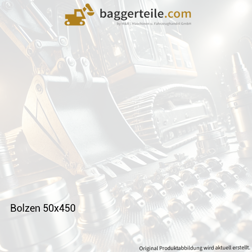 Bolzen 50x450