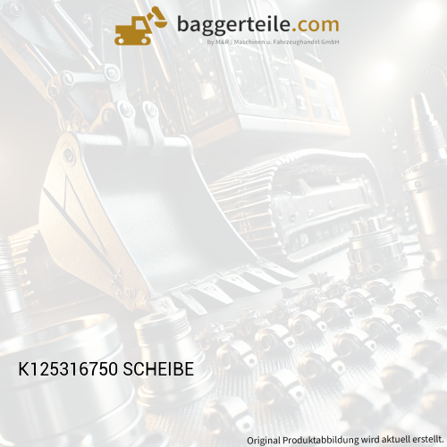 K125316750 SCHEIBE