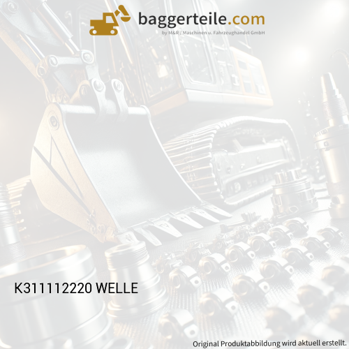 K311112220 WELLE