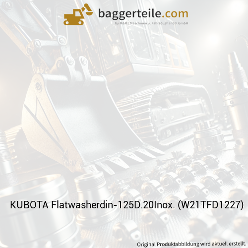 KUBOTA Flatwasherdin-125D.20Inox. (W21TFD1227)