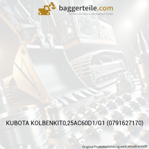 KUBOTA KOLBENKIT0,25AC60D1/G1 (0791627170)