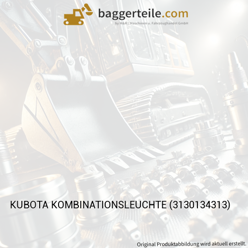 KUBOTA KOMBINATIONSLEUCHTE (3130134313)