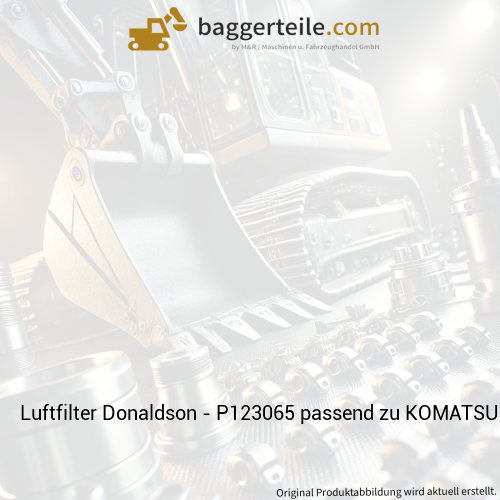 Luftfilter Donaldson - P123065 passend zu KOMATSU
